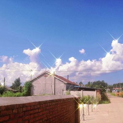 果盘第五人格手游下载